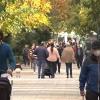 Personas paseando por el céntrico paseo cacereño de Cánovas