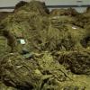La policía se incauta de 53 toneladas de tabaco ilegal