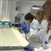 Profesionales veterinarias trabajando en un laboratorio