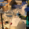 Laboratorio clandestino de cocaína en Don Benito