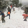 Gente disfrutando de la nieve en Guadalupe