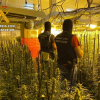 Imagen de las plantaciones desmanteladas 
