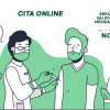Web de autocita del SES