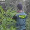 Operación de la Guardia Civil