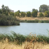 Orilla del Guadiana a su paso por Mérida