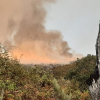 Incendio Villanueva de la Vera