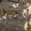 Valle del Jerte (Cáceres)