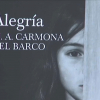 Portada de la novela