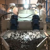 Fábrica de procesado de aceituna negra en el norte de Cáceres