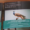Nueva novela de Luis Landero