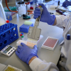 Secuenciación de virus en el laboratorio