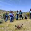 Suelta de lince ibérico en Hornachos