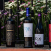 Vinos ganadores premios espiga