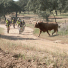 A PIÑÓN FIJO 21