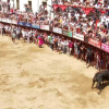 Sanjuanes de Coria 2022