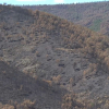 Un mes del incendio de Monfragüe