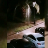 El aspersor averiado se encuentra en el parque de San Fernando, en Badajoz.