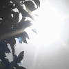 Verano más cálido