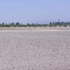 Imagen de un campo seco por la sequía