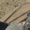 Detalle de los raíles de 1892 encontrados en Badajoz, que pertenecían a su tranvía.