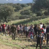 Trasterminancia en Siruela