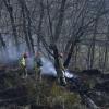 Bomberos forestales