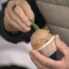 Helado