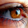 Salud visual