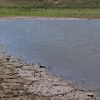La escasez de agua se nota en los pantanos