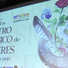 Cartel de la XXXIV Festival Teatro Clásico de Cáceres.