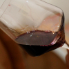 Persona catando vino en una bodega