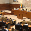 Pleno en la Asamblea