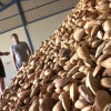 Campaña de la almendra