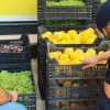Inspección de fruta robada