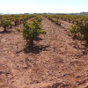 Limitaciones en el uso de agua en Tierra de Barros
