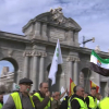Protesta de agricultores y ganaderos en Madrid