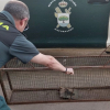 Operación de la Guardia Civil