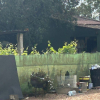 Incendio cerca de la ermita de Bótoa