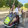 El burro y el peregrino