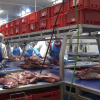 Carne de caza