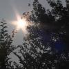 Calor en Extremadura