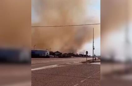 Incendio forestal en Casas de don Pedro