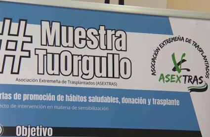 Día de la Hepatitis