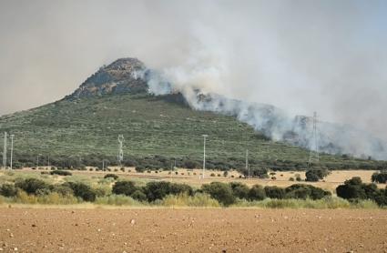 Declarado el nivel 1 de peligrosidad en un incendio en Mérida
