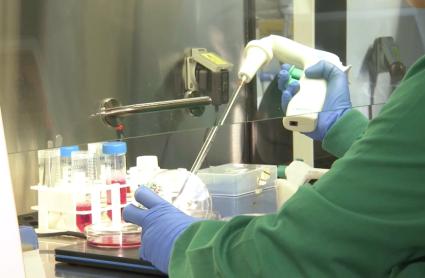 Ayudas a la investigación en Extremadura