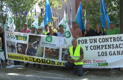 Manifestación por la protección de los lobos