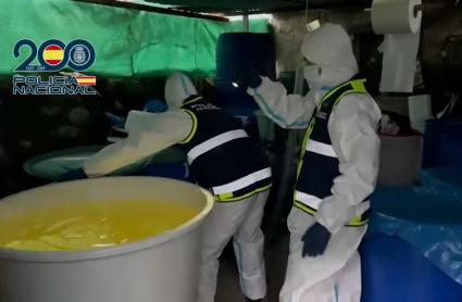 Laboratorio de cocaína desmantelado