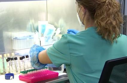 El PSOE asegura que la "falta de apoyo" de la Junta a la investigación pone "en riesgo" a grupos de la UEx