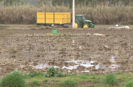 Efectos de las borrascas en el campo