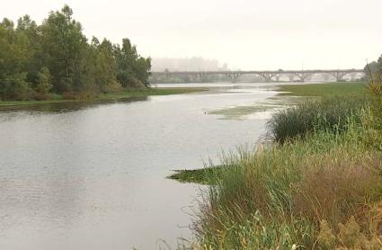 El inicio de las obras para erradicar el nenúfar del Guadiana se mantiene en otoño con un importe de 6,5 millones